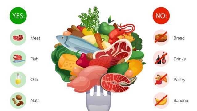 آیا رژیم کتوژینیک لاغر می کند؟ توضیحات و نکات و آموزش کتوژنیک