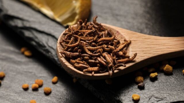 مصرف رازیانه برای چاقی صورت + چاقی سریع صورت با رازیانه