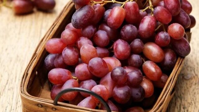 خواص و فواید انگور برای بدن چیست؟ | آیا مصرف انگور باعث تقویت حافظه می شود؟