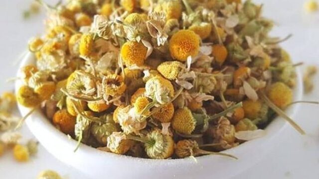 معرفی بهترین داروهای گیاهی لاغر کننده صورت؛ توضیح کامل طرز تهیه و استفاده