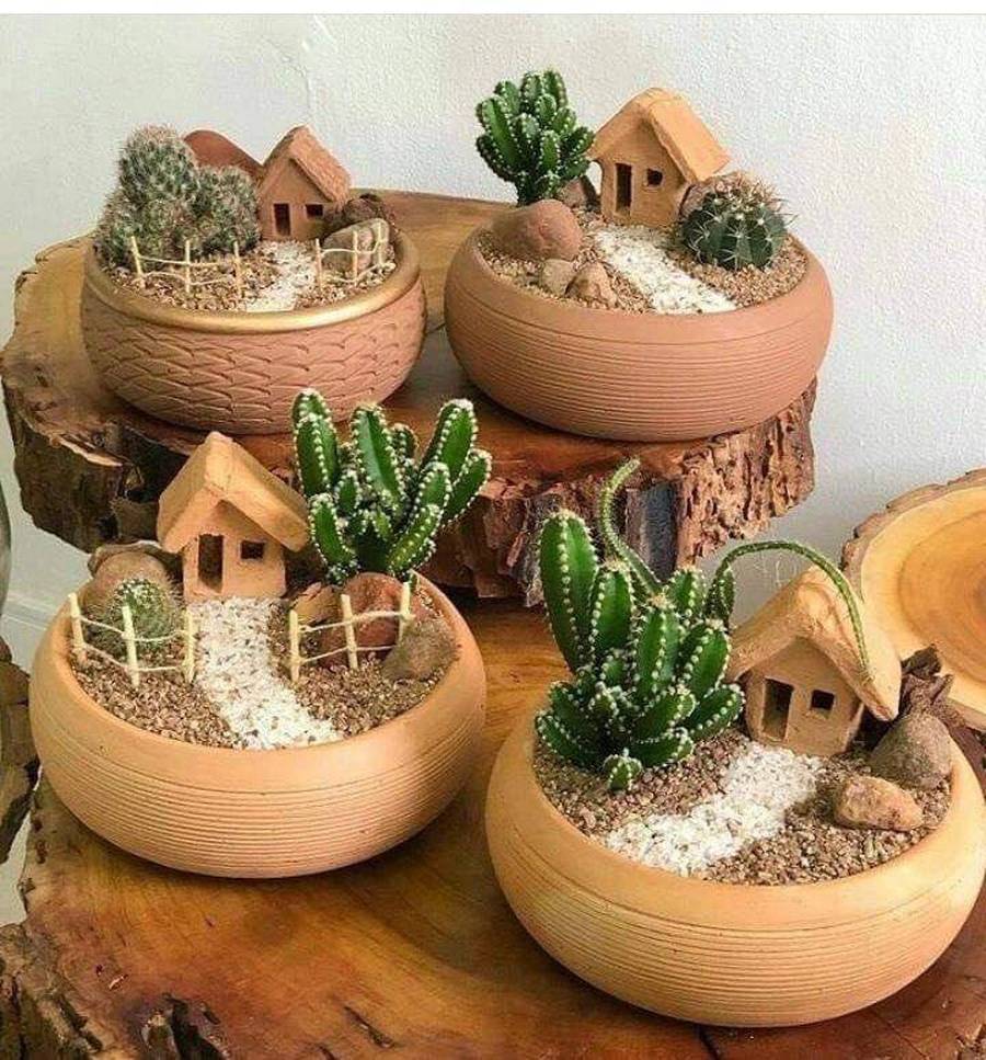 مدل کاکتوس طبیعی بامزه