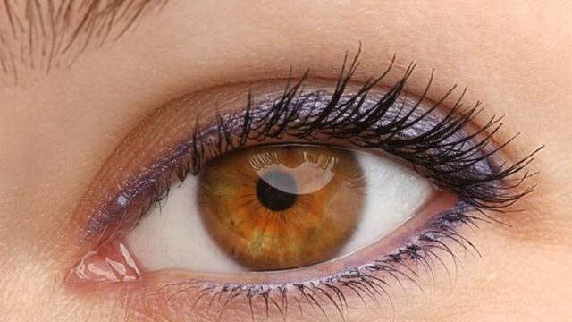همه چیز در مورد سایه چشم و روش های استفاده | معرفی انواع سایه چشم