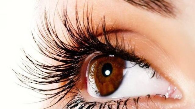 تینت مژه چیست و چگونه انجام میشه؟ | فواید و مضرات تینت و لمینیت مژه چیست؟