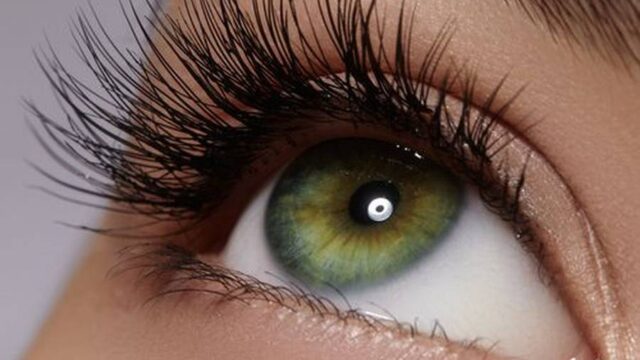 تقویت مژه و افزایش حجم آن با روش های طبیعی؛ نکات بسیار مهم و کاربردی و ساده