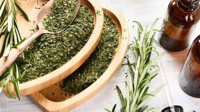 خواص گیاه رزماری برای مو چیست؟ | همه چیز را در مورد رزماری بدانید