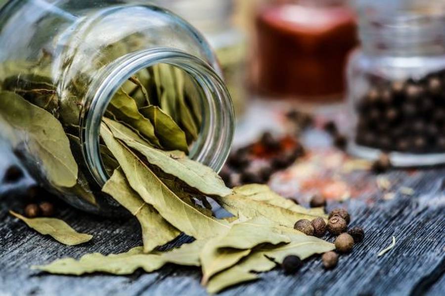 چه ویتامینی باعث ضخیم شدن مو میشود 