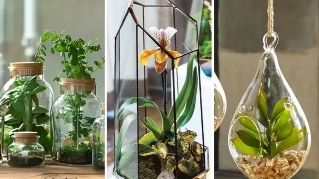 گلدان شیشه ای دلبر | چطور دکوراسیون خونه‌مون رو شیک کنیم + عکس های دیدنی