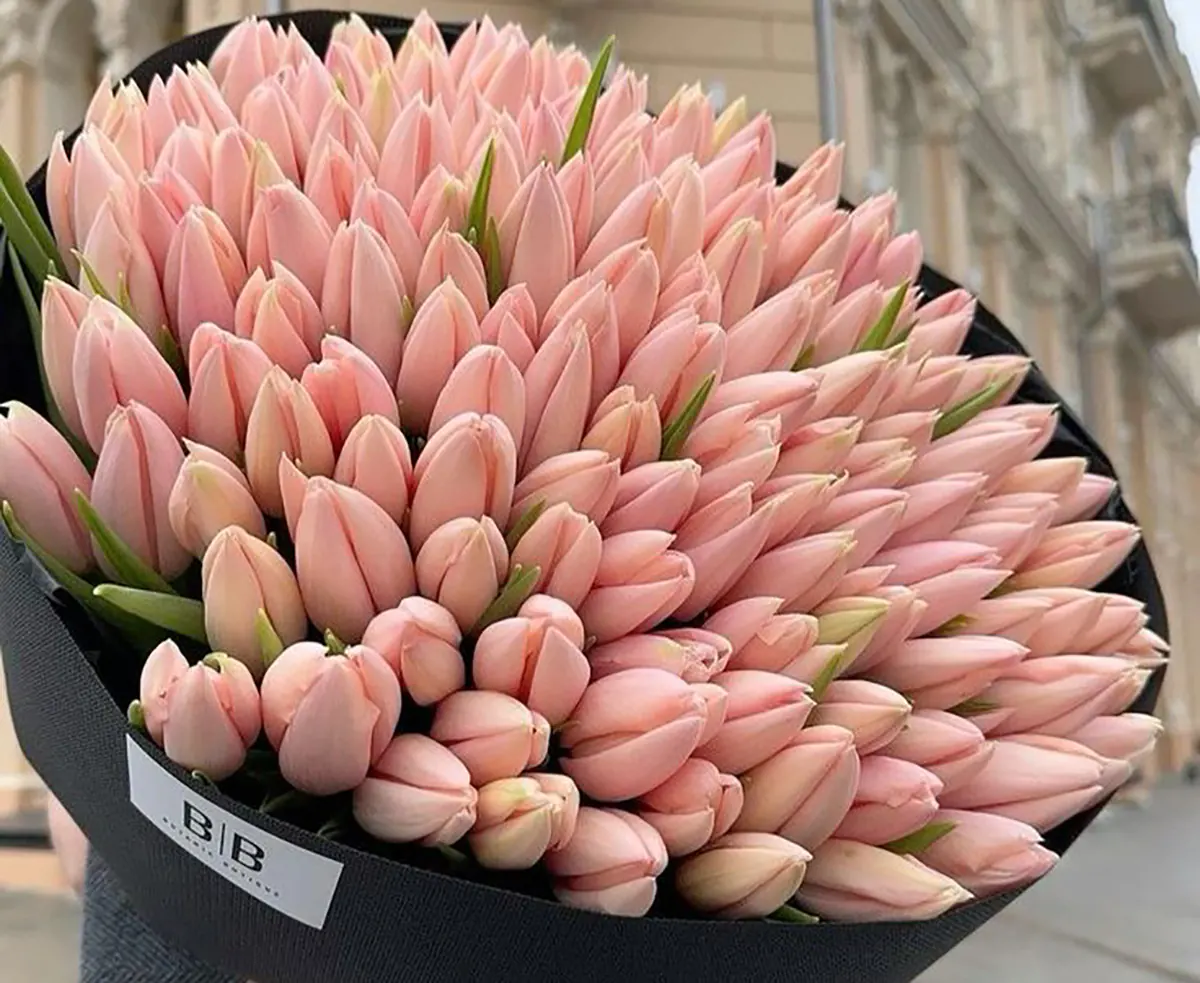 باکس گل لاکچری باکس گل لاکچری اینستاگرام باکس گل لاکچری برای تولد گل لاکچری عاشقانه باکس گل لاکچری مردانه جدیدترین باکس گل قیمت باکس گل لاکچری