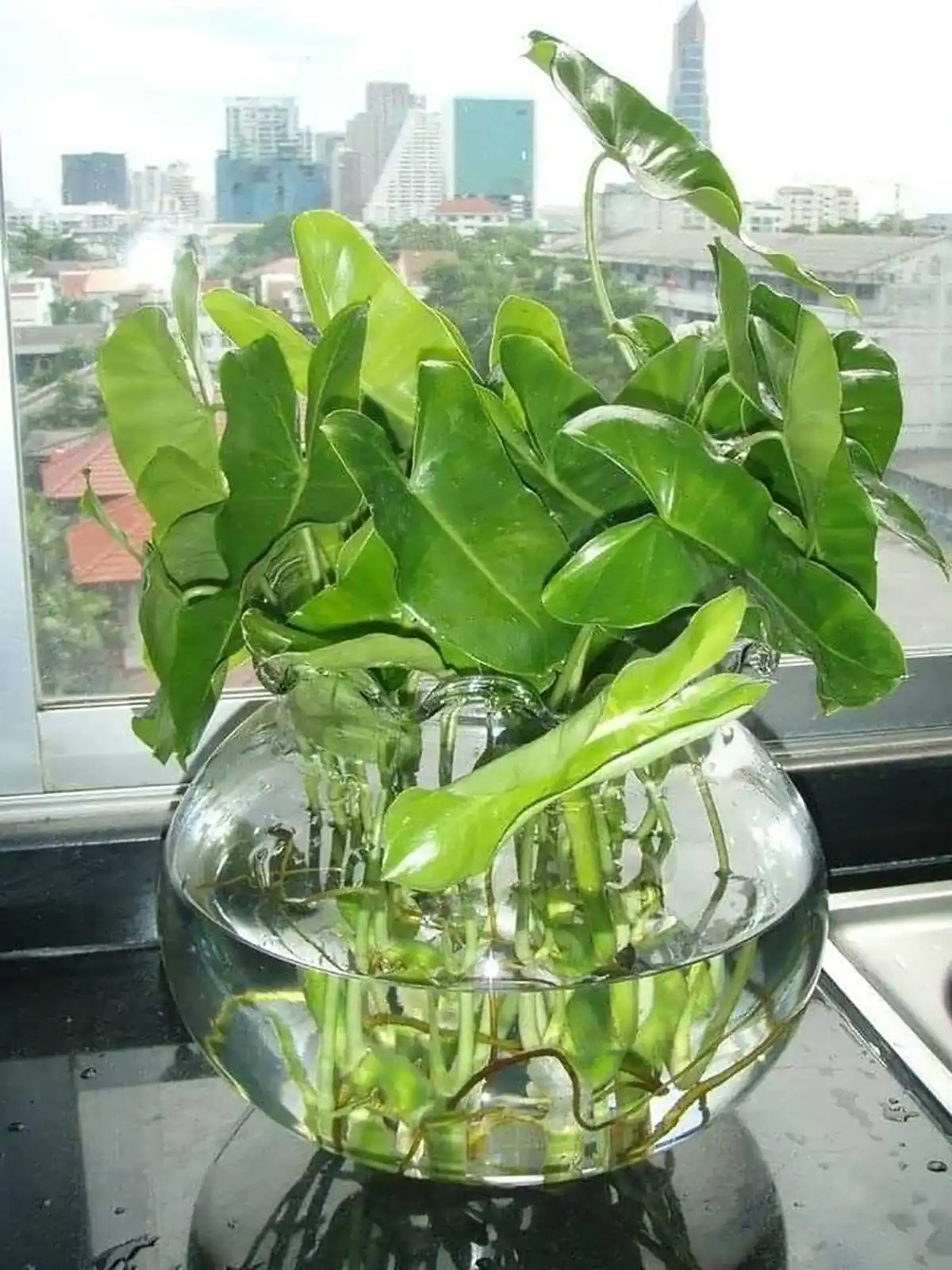 گلدان رومیزی شیشه ای