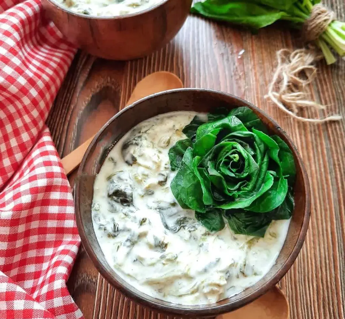  دیزاین ماست مجلسی تزیین ماست برای مهمانی تزیین ماست ساده دیزاین ماست مجلسی تزیین ماست خیار با نعناع و گل سرخ تزیین ماست و خیار ساده و شیک تزیین ماست با نعناع