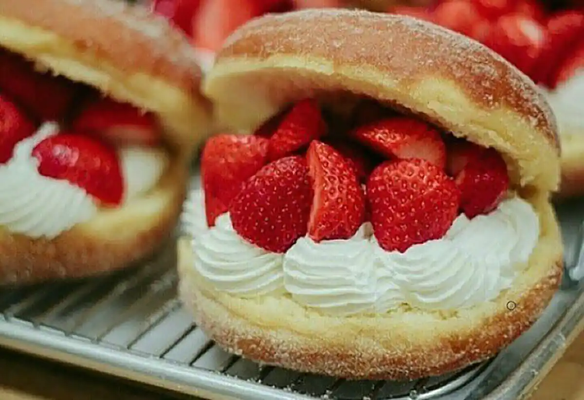 طرز تهیه مدل دونات خانگیدونات خانگی بدون خمیرمایهدونات با ماست چطور درست کنمبهترین مدل دونات خانگیدونات خانگی در فر سادهمدل دونات خانگی با شیر