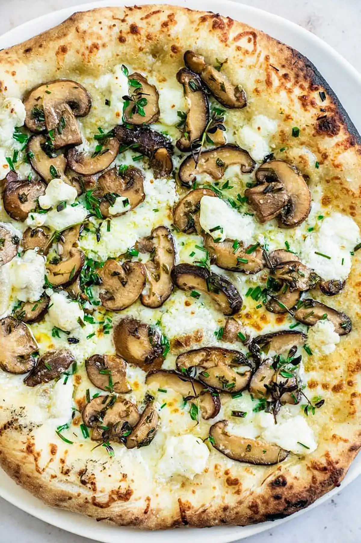 طرز تهیه پیتزا ساده با سوسیس
نام پیتزا های معروف
طرز تهیه پیتزا مخصوص رستورانی
طرز تهیه پیتزا با خمیر آماده
فرق پیتزا مخلوط و مخصوص
طرز تهیه پیتزا مخلوط
مواد پیتزا مخلوط
طرز تهیه پیتزا مرغ
