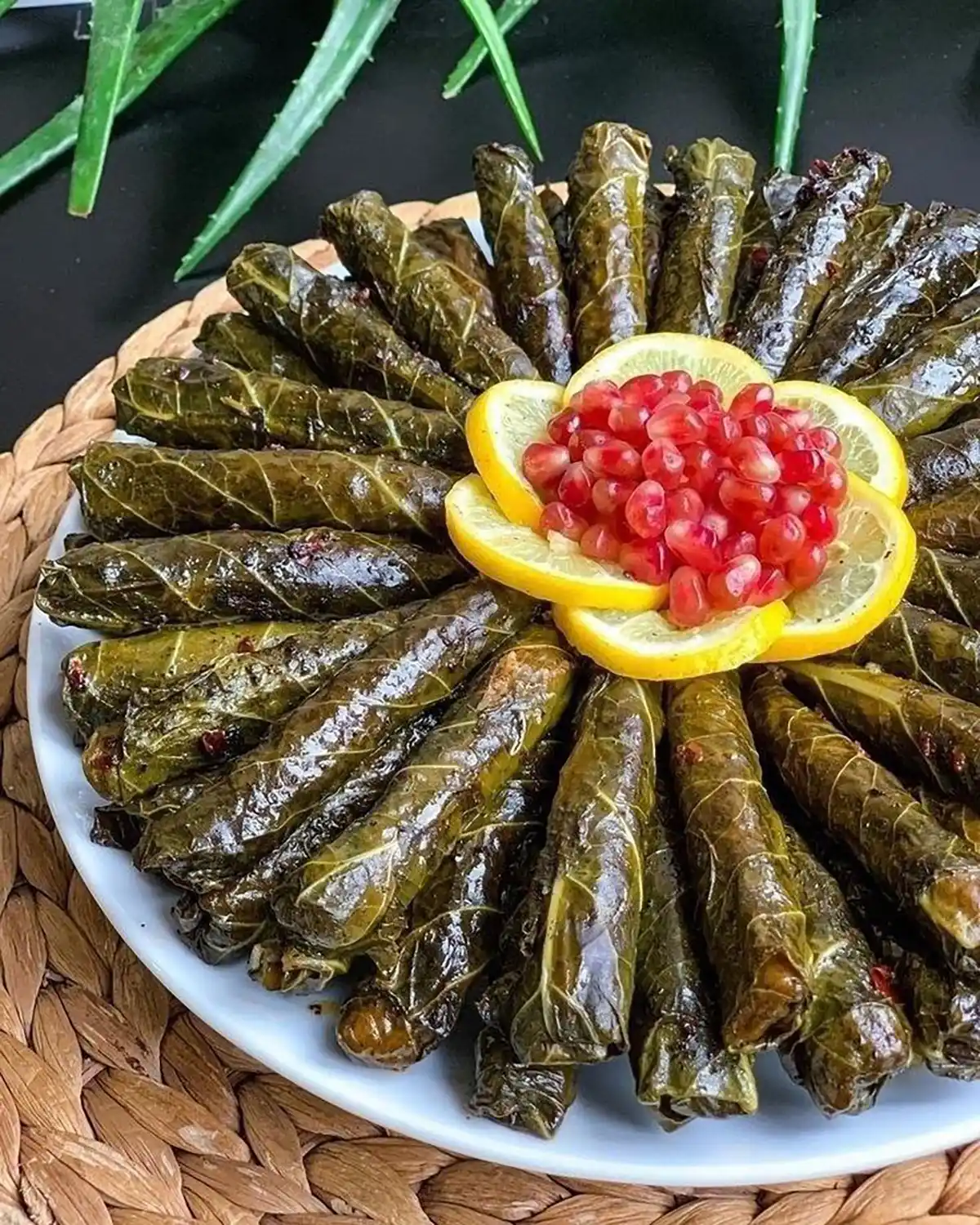 تزیین دلمه برای مهمونی