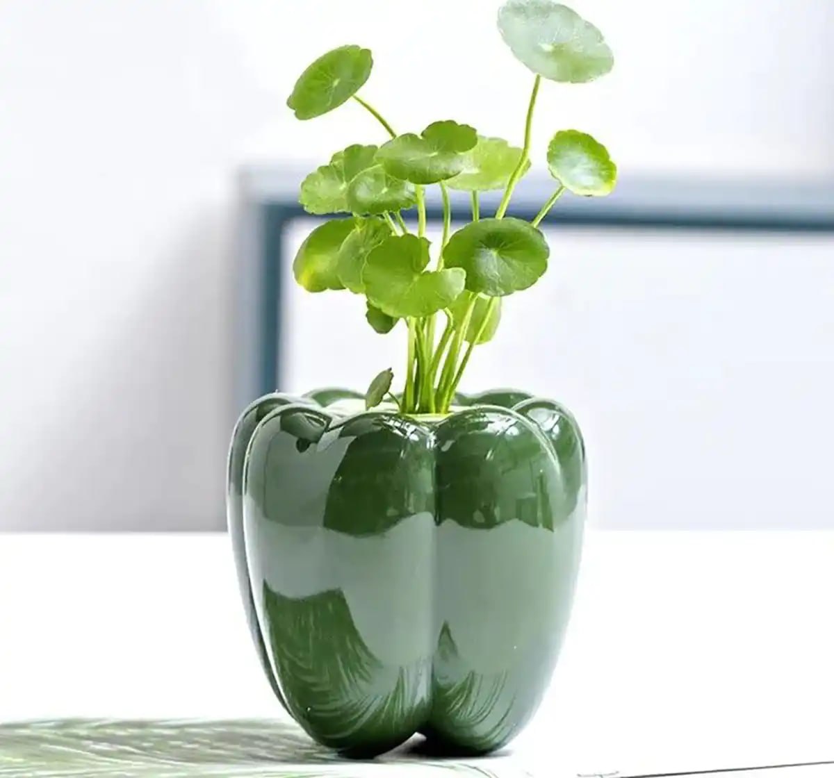 گلدان سفالی قدیمی