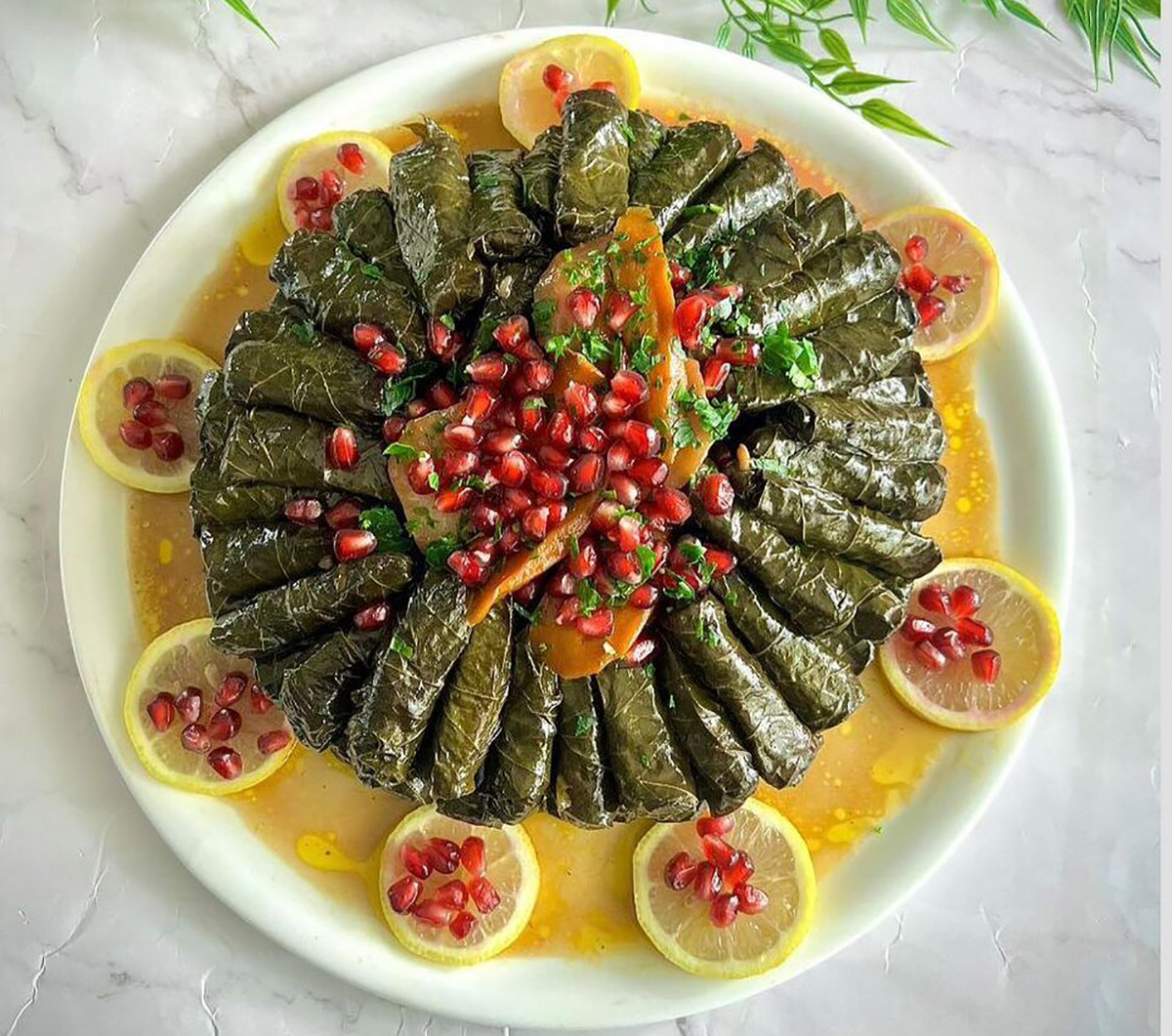 تزیین دلمه برگ مو با زرشک