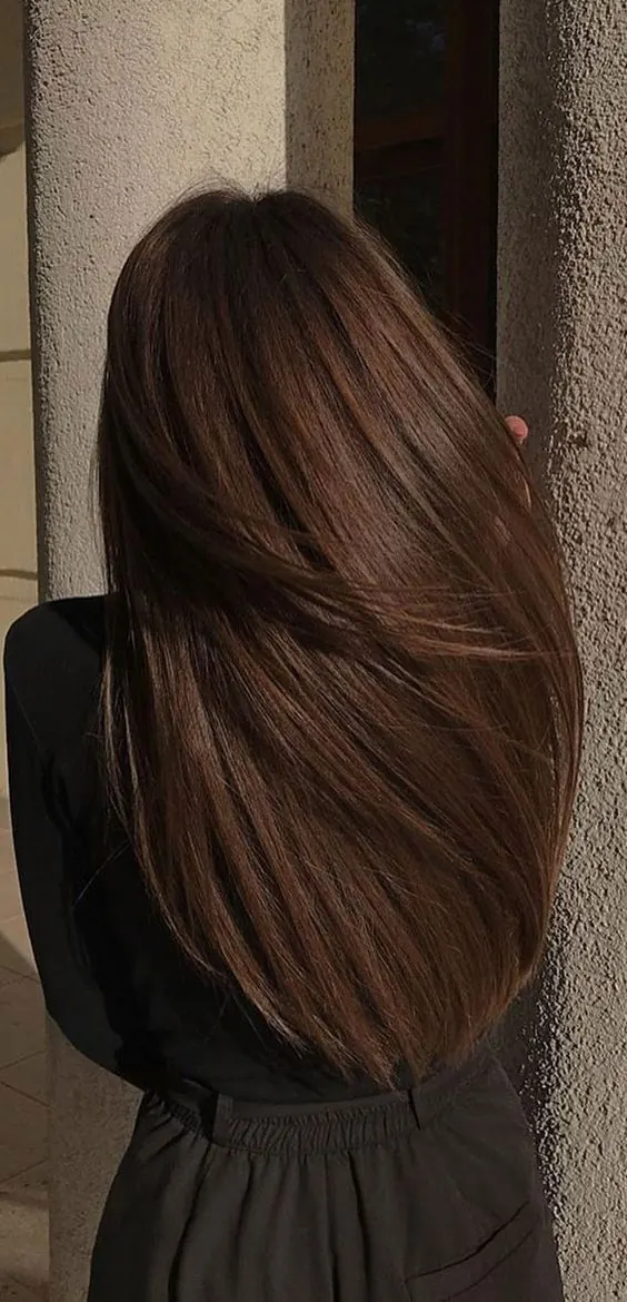مدل رنگ مو شکلاتی دودی تیره پاییزی در فضای باز