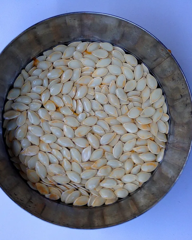 کاسه تخمه کدو، سیرکننده و پرمغز